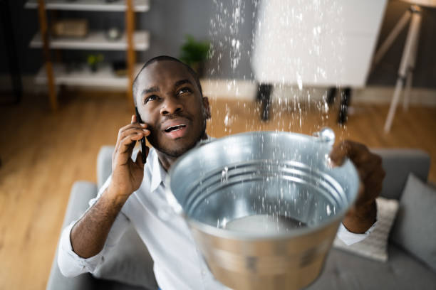 Best Ceiling water damage repair  in Bastrop, LA