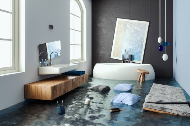 Best Mold removal after water damage  in Bastrop, LA