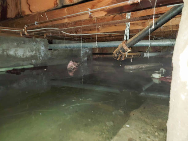 Trusted Bastrop, LA Water damage restoration Experts