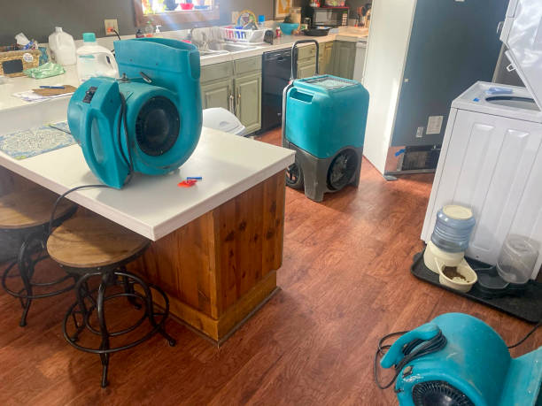 Best Flooded house restoration  in Bastrop, LA