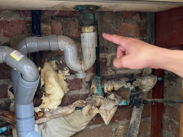 Best Water damage restoration near me  in Bastrop, LA