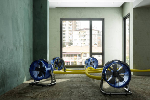 Water damage restoration process in Bastrop, LA