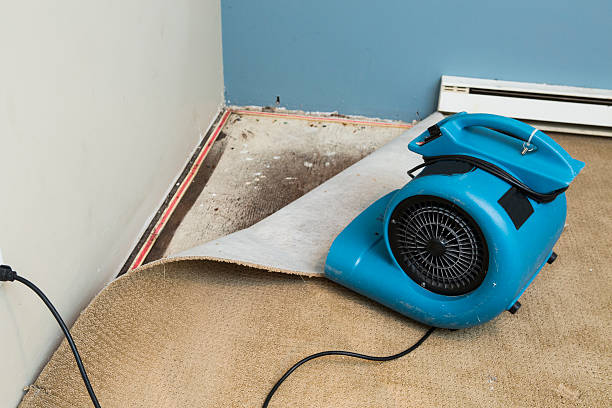 Local water damage restoration in Bastrop, LA
